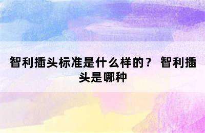 智利插头标准是什么样的？ 智利插头是哪种